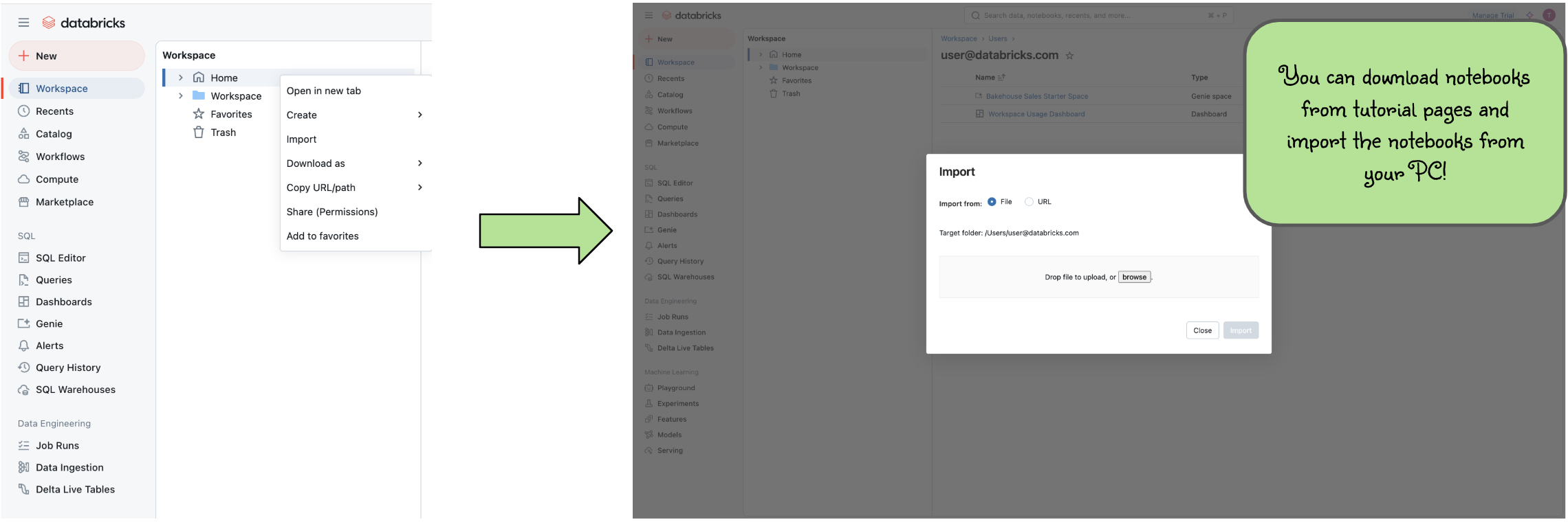 Databricks Workspace import Notebook from MLflow docs website